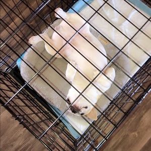 Meet your Posher, Kendal